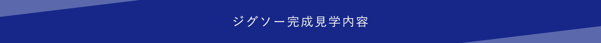ジグソー完成見学内容