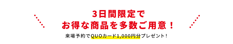3日間限定でお得な商品を多数ご用意！