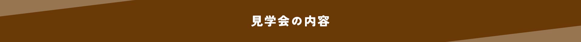 見学会の内容